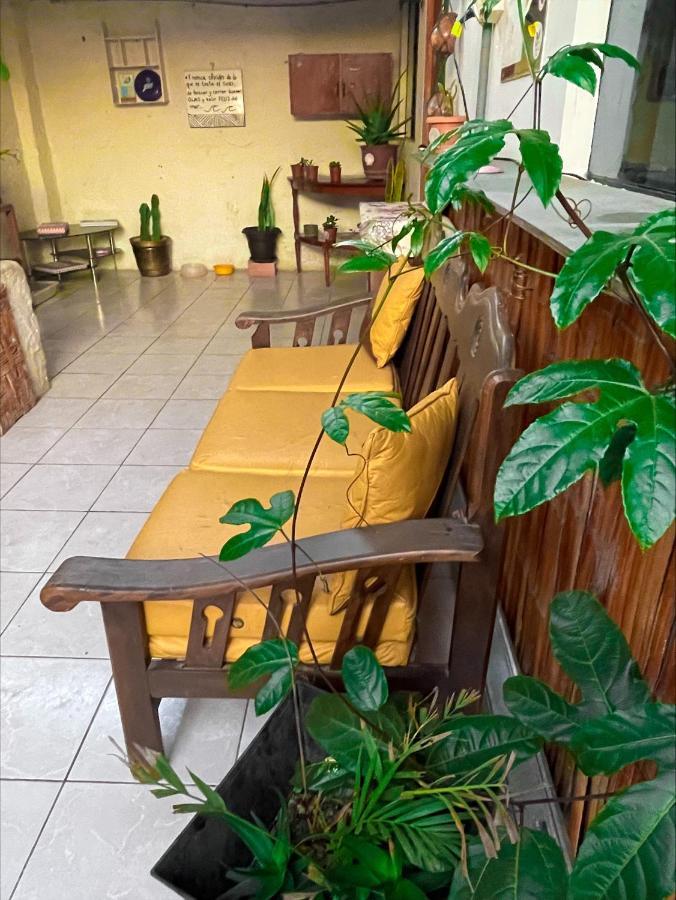 הואנצ'אקו Totora Surf Hostel מראה חיצוני תמונה